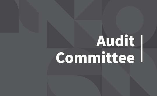 Audit Committee